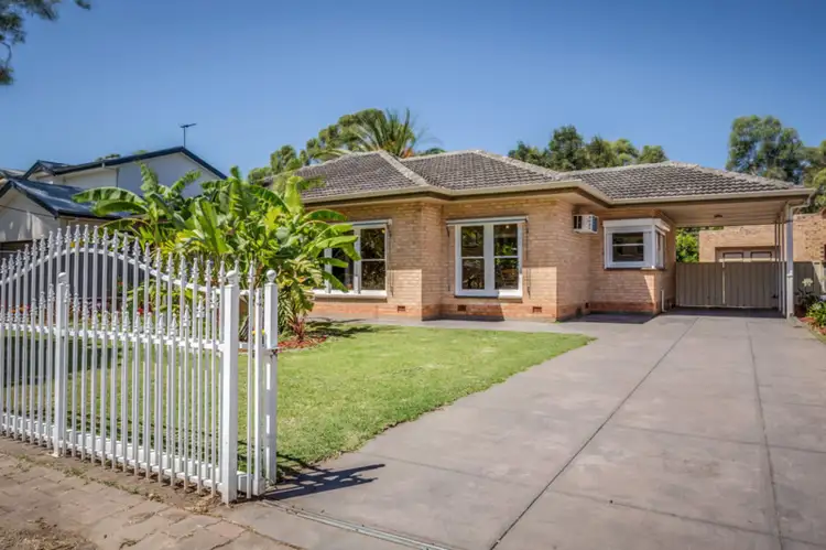 17 Primrose Avenue, Paradise SA 5075
