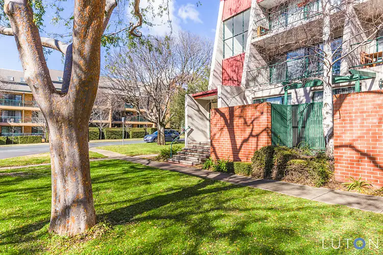 Second view of Homely unit listing, 1/10 Ovens Street, Griffith ACT 2603