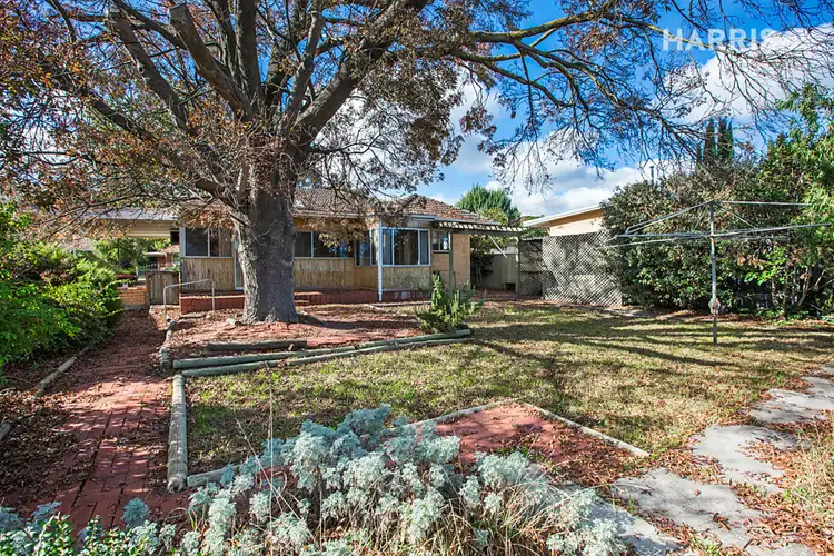 Second view of Homely house listing, 11 Warrego Crescent, Linden Park SA 5065