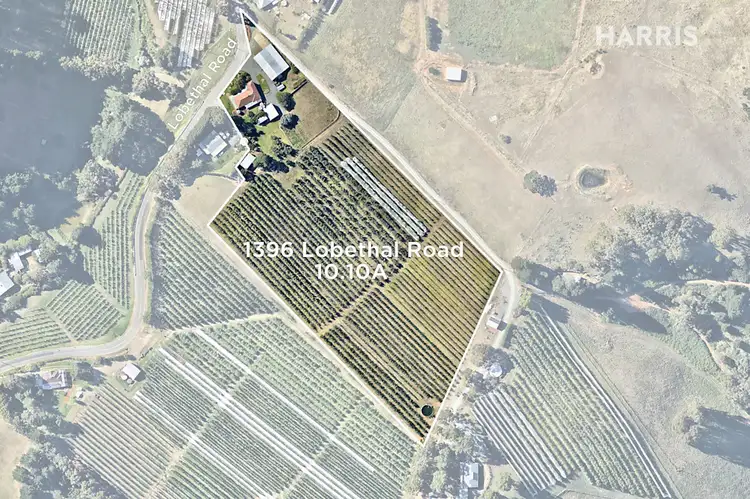 Main view of Homely house listing, 1396 Lobethal Road, Forest Range SA 5139