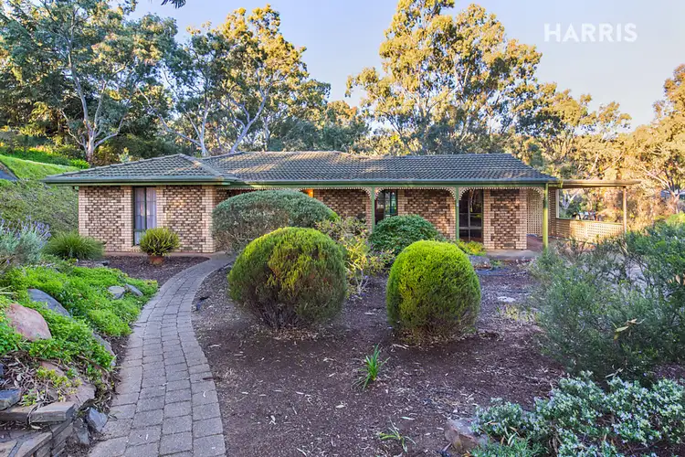 Main view of Homely house listing, 7 Rankeys Hill Road, Hawthorndene SA 5051