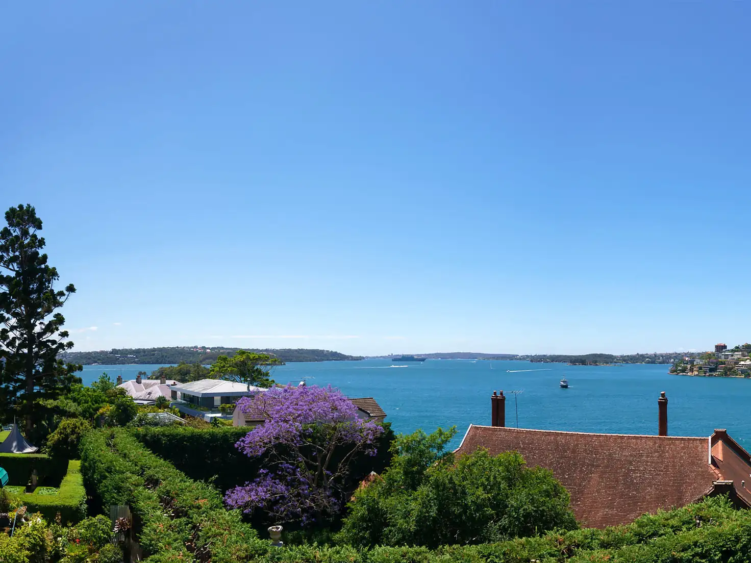 Main view of Homely apartment listing, 6a Etham Avenue, Darling Point NSW 2027