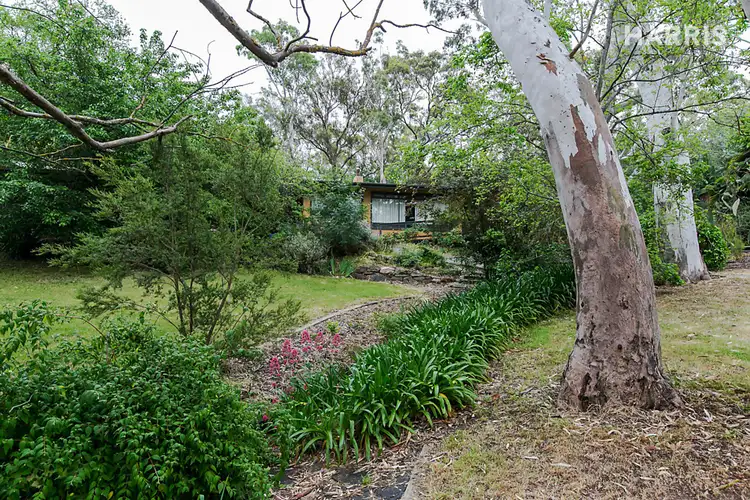 Fifth view of Homely house listing, 4 Cypress Avenue, Hawthorndene SA 5051