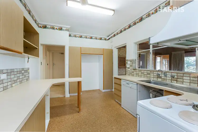Fifth view of Homely house listing, 11 Warrego Crescent, Linden Park SA 5065