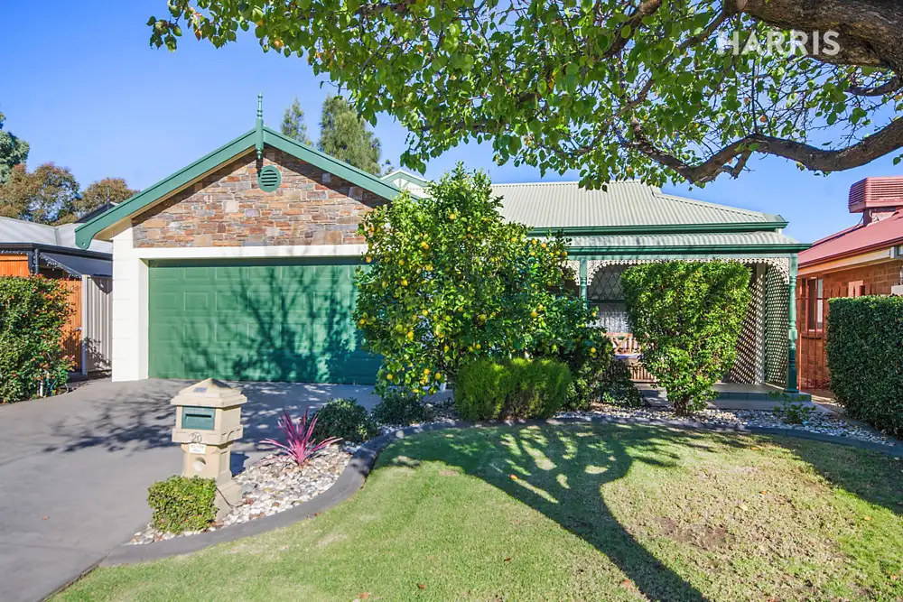 Main view of Homely house listing, 20 Oxford Circuit, Newton SA 5074