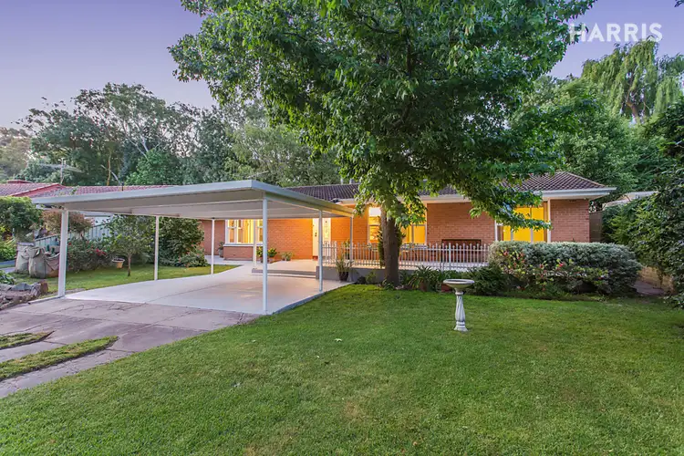 19 Bermuda Way, Glenalta SA 5052