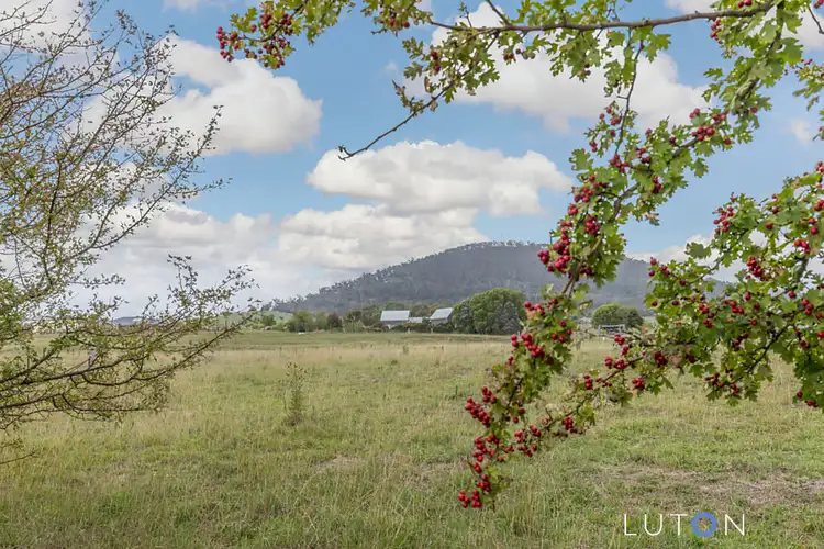 Fifth view of Homely house listing, 180 Bombay Road, Braidwood NSW 2622