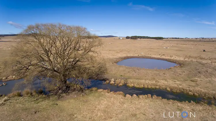 Seventh view of Homely rural property listing, 483 Little River Road, Braidwood NSW 2622