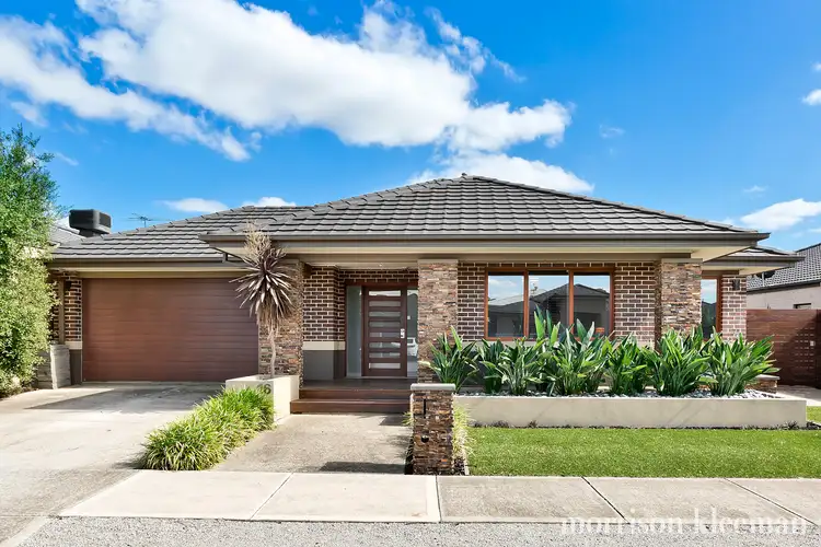 16 Lupin Street, Mernda VIC 3754
