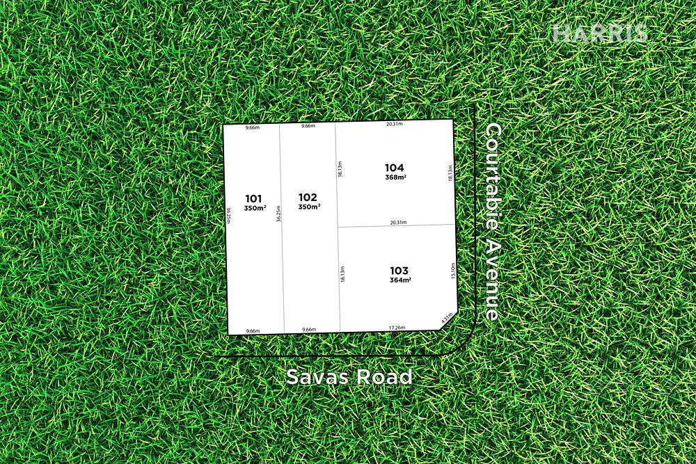 Main view of Homely land listing, 12-14 Courtabie Avenue, Rostrevor SA 5073