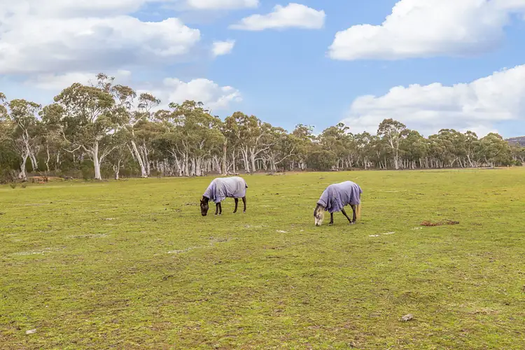 Sixth view of Homely rural property listing, 291 Foxs Elbow  Road, Braidwood NSW 2622