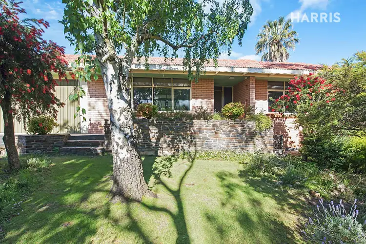 Main view of Homely house listing, 7 Sherbourne Road, Blackwood SA 5051