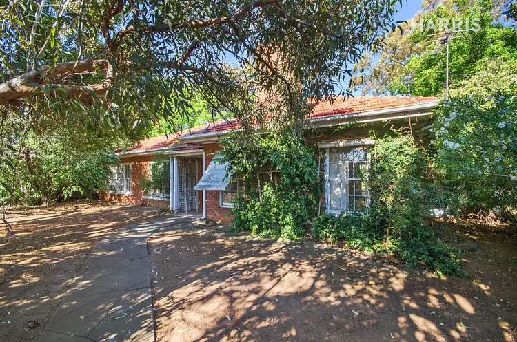 Second view of Homely house listing, 312 Brighton Road, North Brighton SA 5048