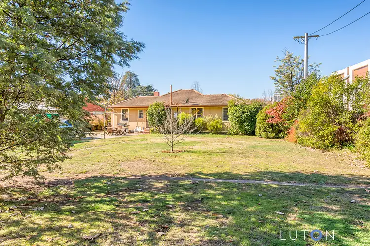 Fourth view of Homely house listing, 31 Berrigan Crescent, O'connor ACT 2602