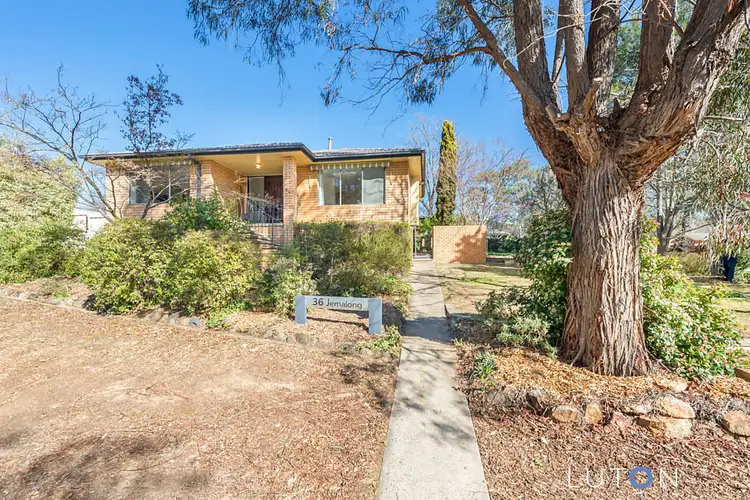 Main view of Homely house listing, 36 Jemalong Street, Duffy ACT 2611