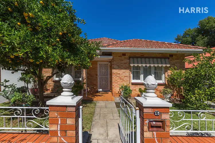 13 Alfred Street, Parkside SA 5063