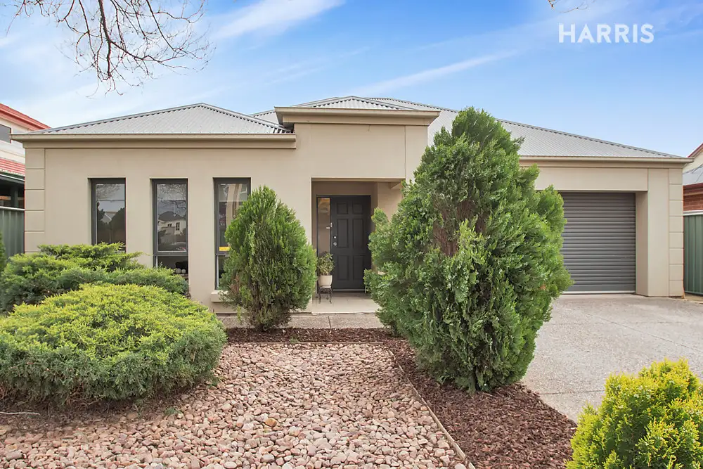 Main view of Homely house listing, 24 Swan Circuit, Mawson Lakes SA 5095