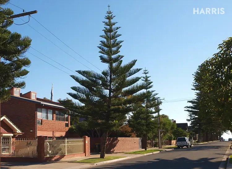Sixth view of Homely unit listing, 3/38 Union Street, Semaphore SA 5019