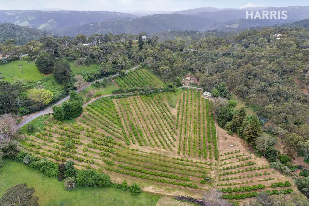 Main view of Homely house listing, 914 Montacute Road, Montacute SA 5134