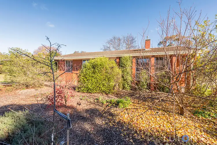 16 Jindivik Place, Scullin ACT 2614