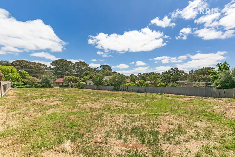 Third view of Homely land listing, 42 Birkinshaw Avenue, Tranmere SA 5073
