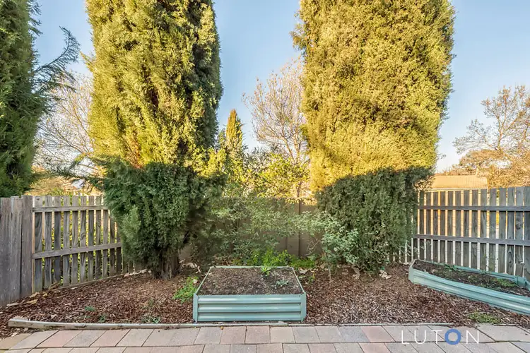 Third view of Homely townhouse listing, 19/6 Kemsley Place, Pearce ACT 2607