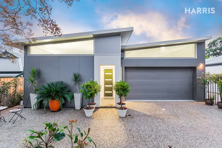 369 The Parade, Kensington Park SA 5068