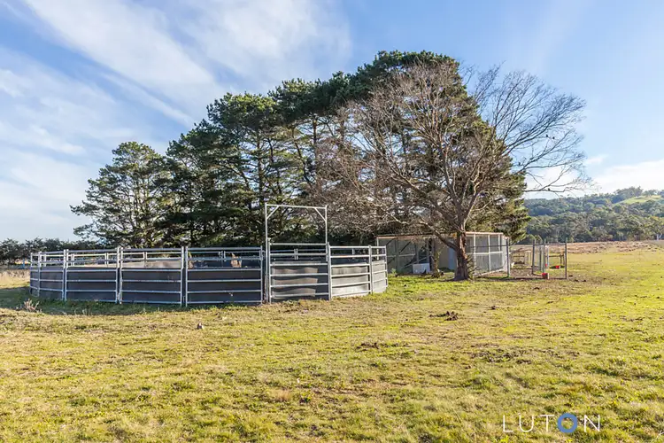 Sixth view of Homely house listing, 1774 Cooma Road, Braidwood NSW 2622