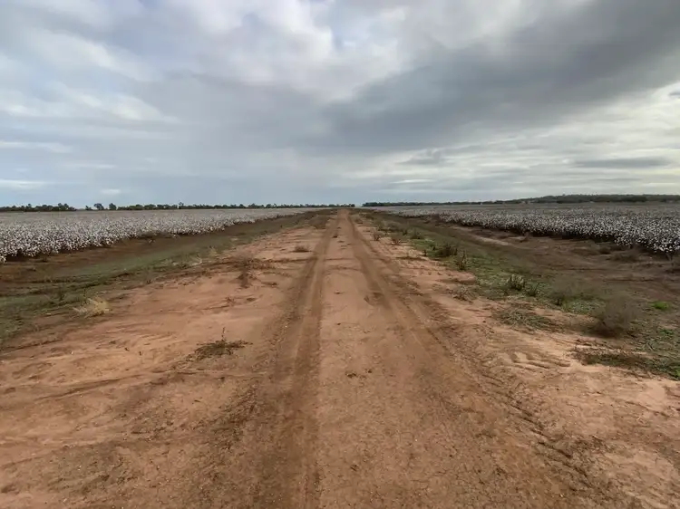 Sixth view of Homely rural property listing, Part Farm 1082, 1386 Murrami Road, Leeton NSW 2705