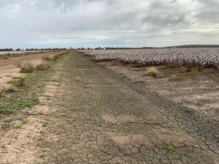 Seventh view of Homely rural property listing, Part Farm 1082, 1386 Murrami Road, Leeton NSW 2705