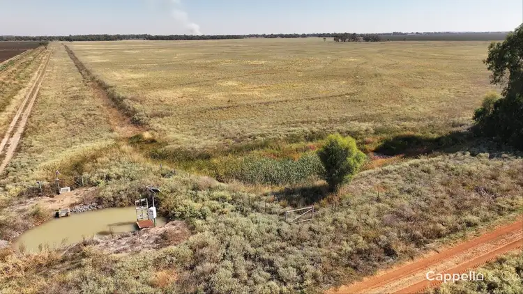 Fourth view of Homely rural property listing, Puntoriero Road, Whitton NSW 2705