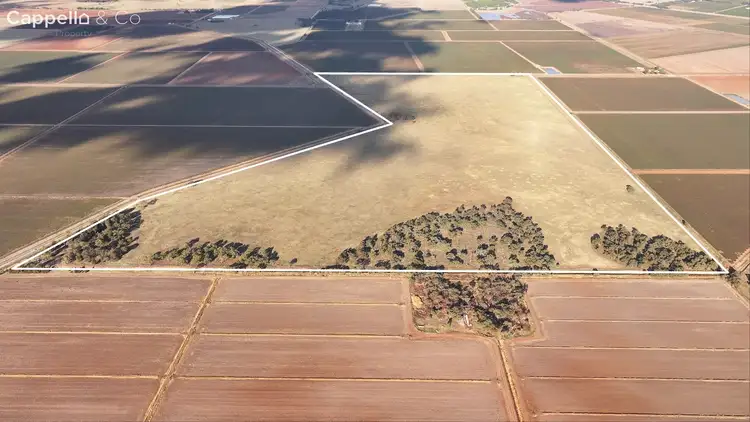 Seventh view of Homely rural property listing, Puntoriero Road, Whitton NSW 2705
