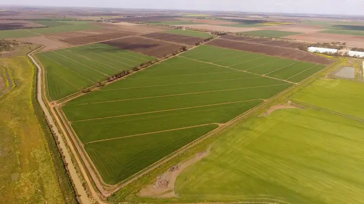 Main view of Homely rural property listing, Farm “1069”/281 North Kooba Settlers Road, Kooba NSW 2680