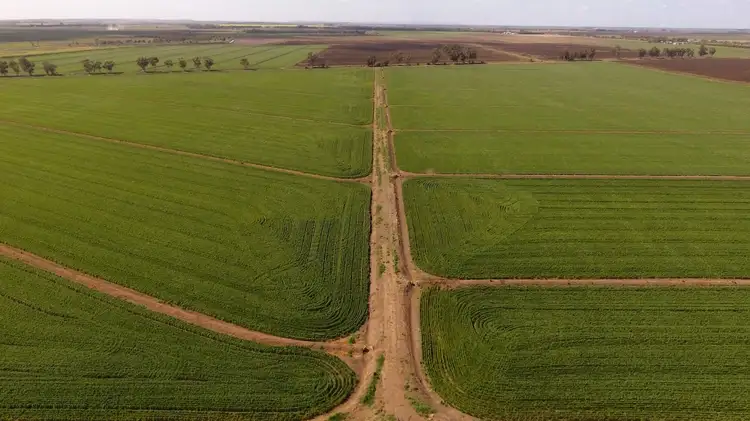 Fourth view of Homely rural property listing, Farm “1069”/281 North Kooba Settlers Road, Kooba NSW 2680