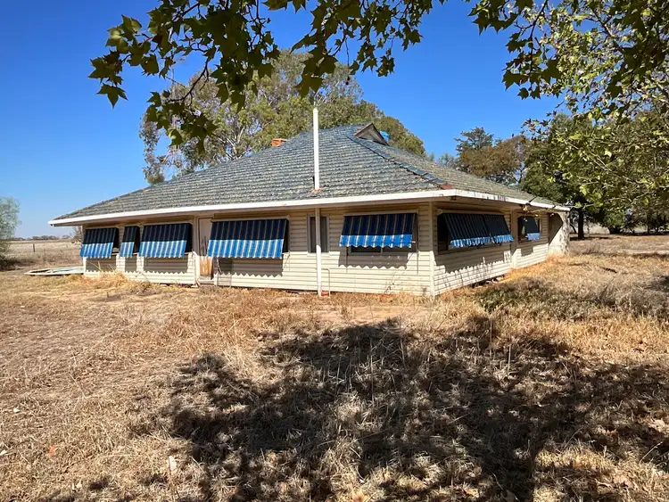Main view of Homely rural property listing, 401 Hogan Road, Whitton NSW 2705