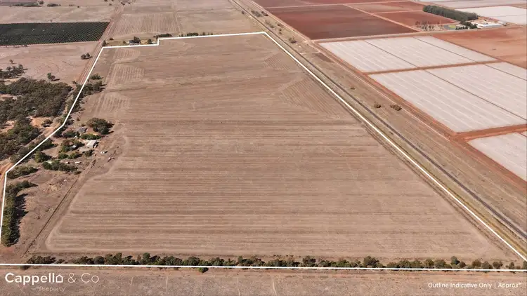 Fourth view of Homely rural property listing, 401 Hogan Road, Whitton NSW 2705