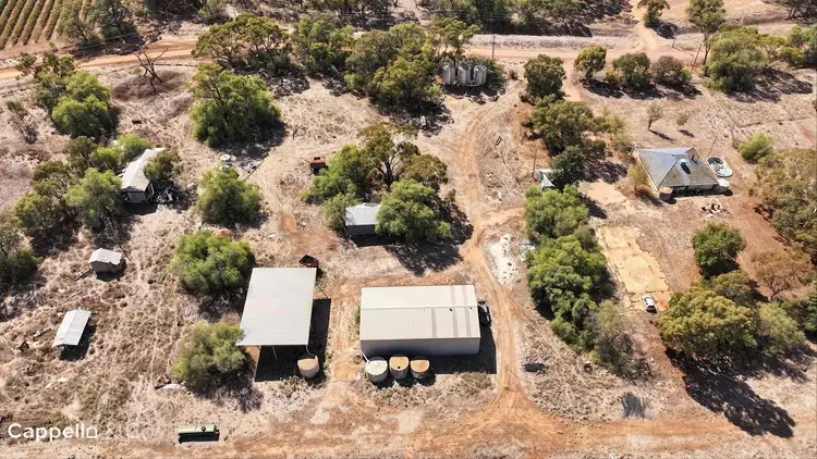 Sixth view of Homely rural property listing, 401 Hogan Road, Whitton NSW 2705