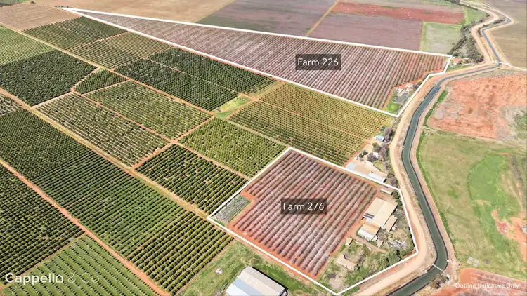 226 & 276 New Farms Road, Nericon NSW 2680