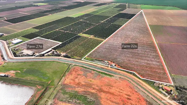 Second view of Homely rural property listing, 226 & 276 New Farms Road, Nericon NSW 2680