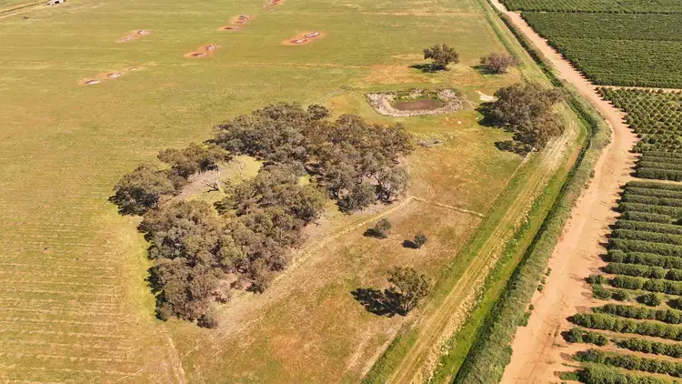 Fifth view of Homely rural property listing, Farm 2002 Carver Road, Stanbridge NSW 2705