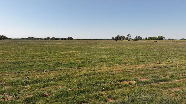 Seventh view of Homely rural property listing, Farm 2002 Carver Road, Stanbridge NSW 2705