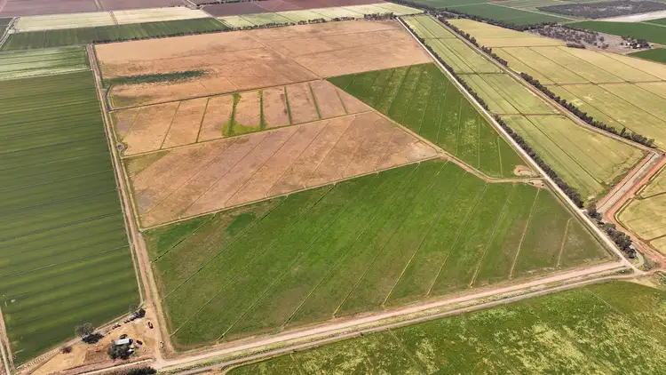 Fourth view of Homely rural property listing, 128 Chittick Road, Warrawidgee NSW 2680