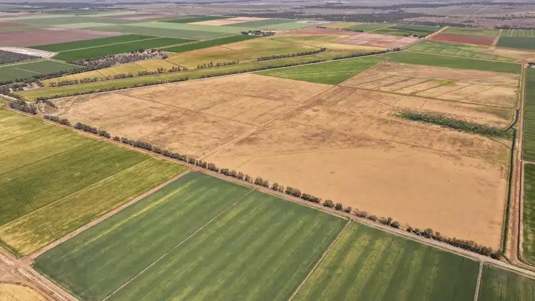 Fifth view of Homely rural property listing, 128 Chittick Road, Warrawidgee NSW 2680