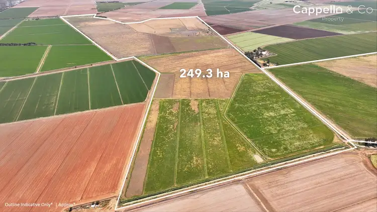 348 Chittick Road, Warrawidgee NSW 2680