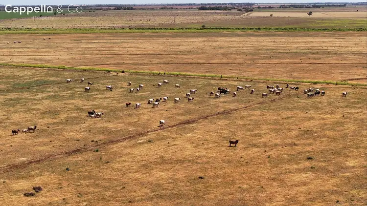 Fifth view of Homely rural property listing, 348 Chittick Road, Warrawidgee NSW 2680