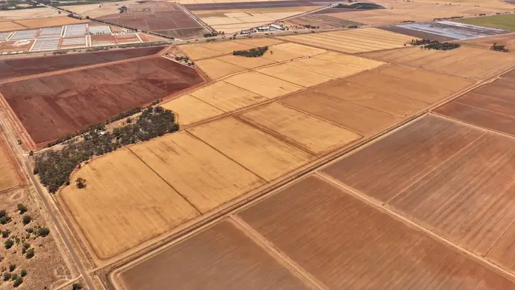 Fifth view of Homely rural property listing, 141 Gogeldrie Road, Gogeldrie NSW 2705