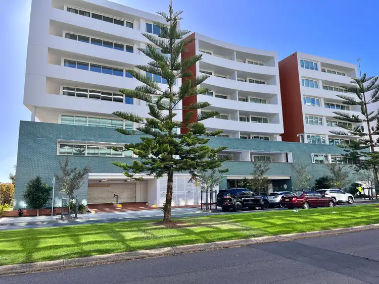 203/25 Honeysuckle Drive, Newcastle NSW 2300