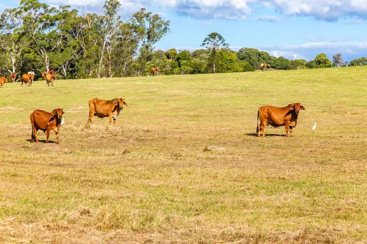 Fifth view of Homely land listing, 15 Perry Road, Image Flat QLD 4560