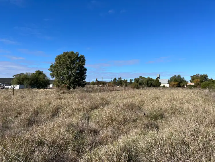 Fifth view of Homely land listing, 84 Bogan Street, Bogan Gate NSW 2876