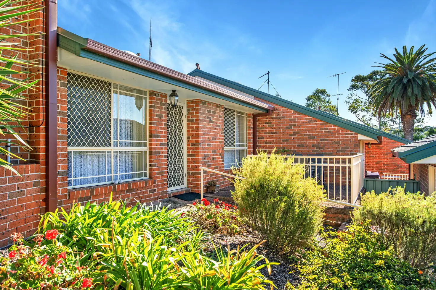 Main view of Homely villa listing, 3/29-33 Wilsons Road, Mount Hutton NSW 2290